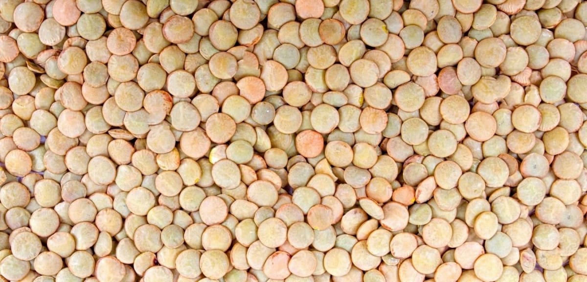 Best Rice Alternatives For Diabetics (From A Diabetes Educator)