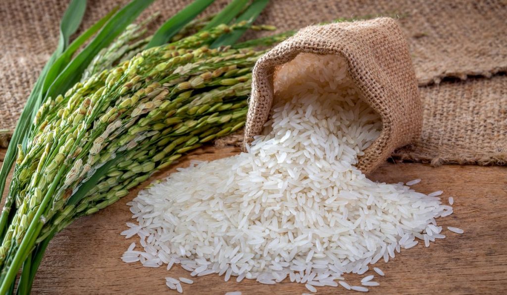 does jasmine rice raise blood sugar